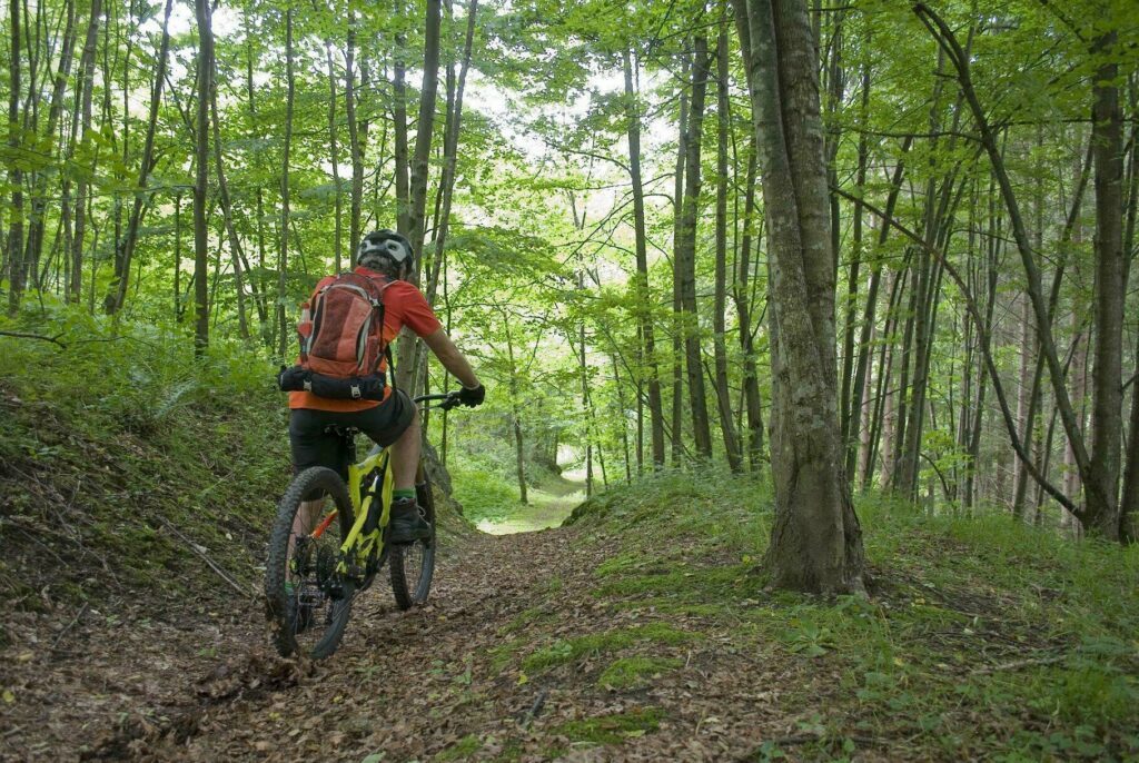 Faire du VTT dans le parc national