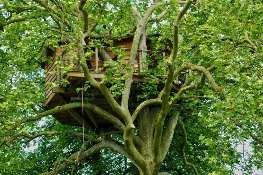 Dormir dans une cabane dans les arbres