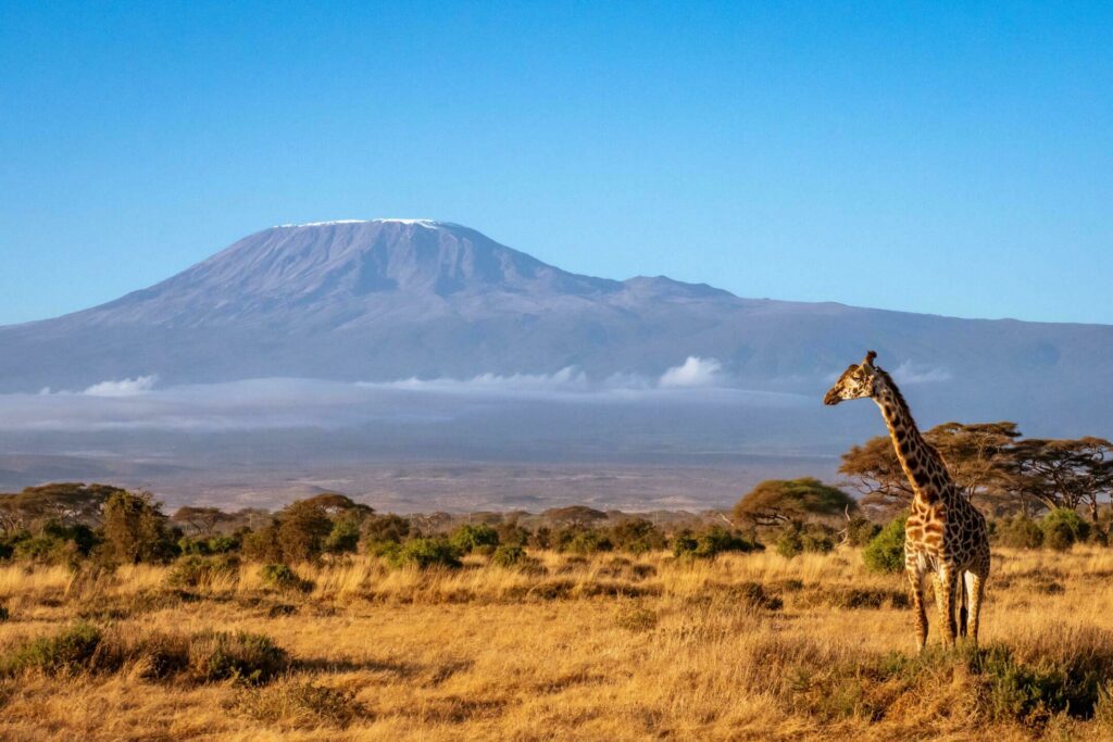 Le Kilimandjaro dans les paysages de montagne