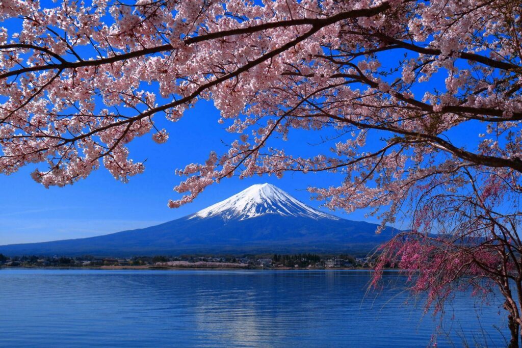 Le Mont Fuji dans les paysages de montagne