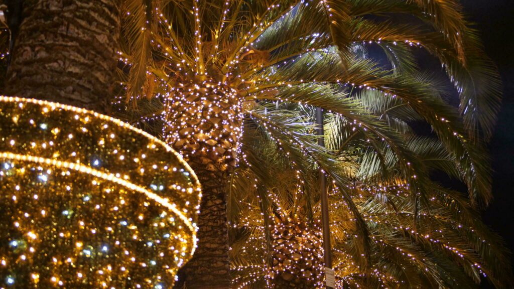 Les palmiers illuminés à Biarritz
