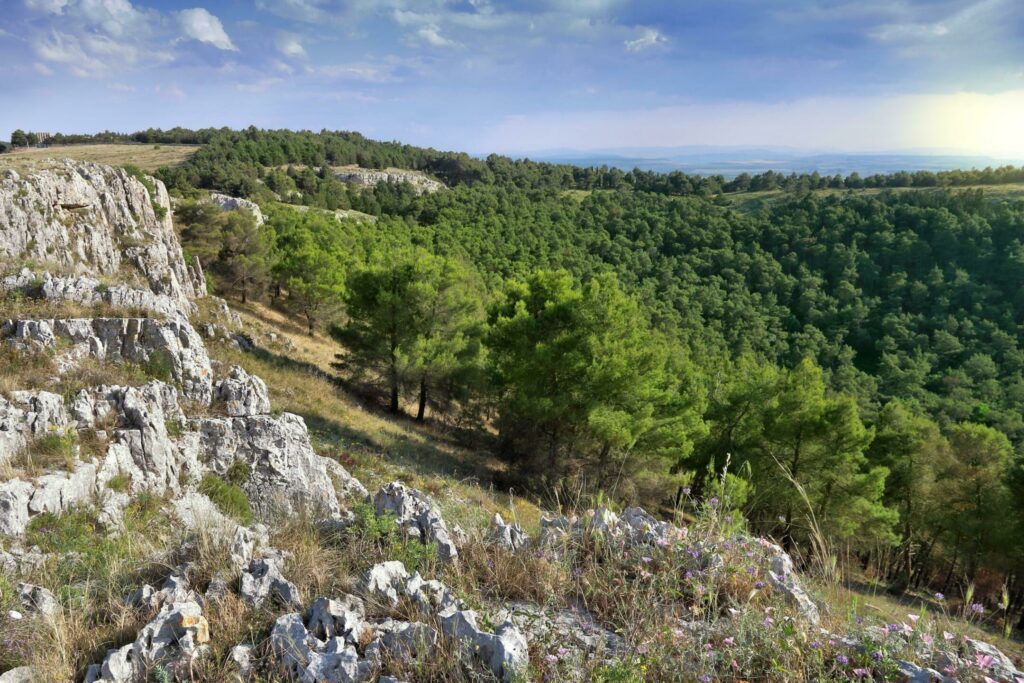 Randonner dans le parc national de l'Alta Murgia