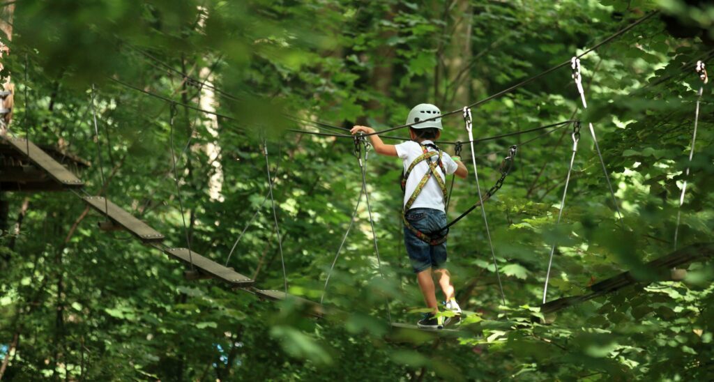 Faire un parcours dans les branches