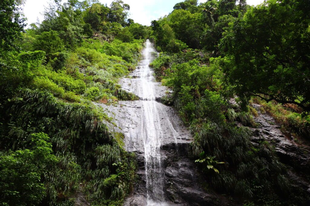 Couleuvre waterfall in Martinique