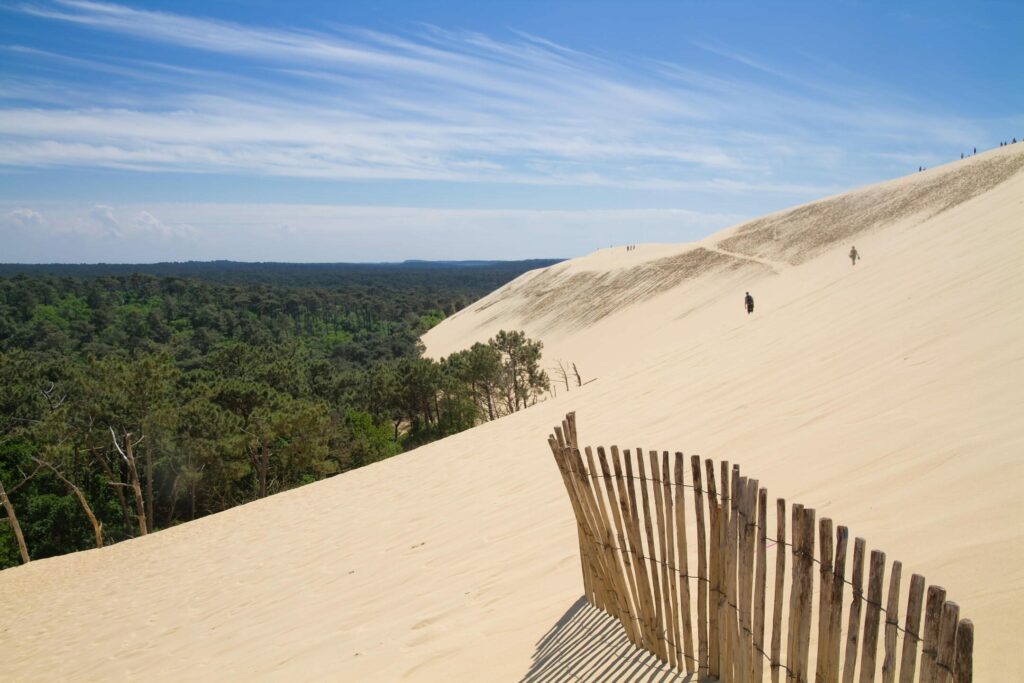 La Dune du Pilat en hiver