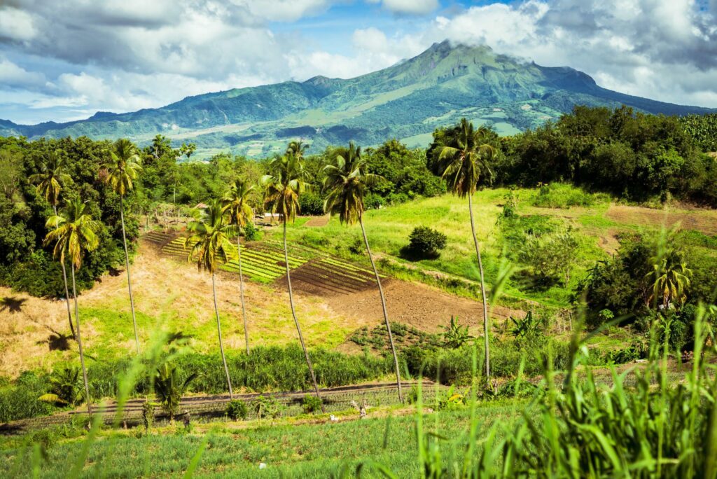 La Montagne Pelée en Martinique