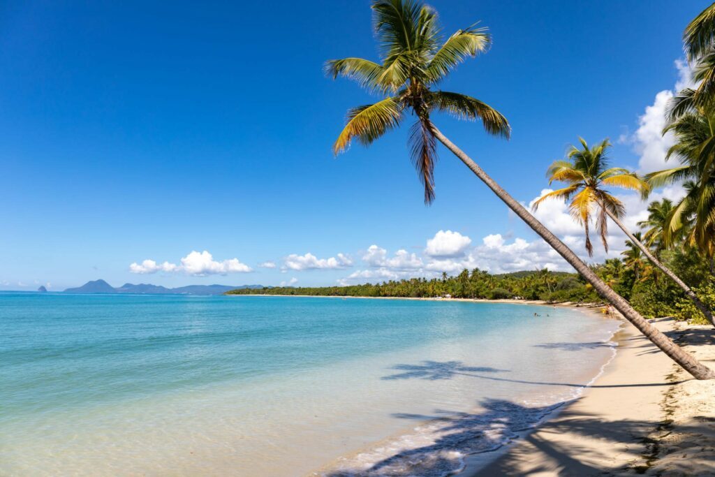 La plage des Salines