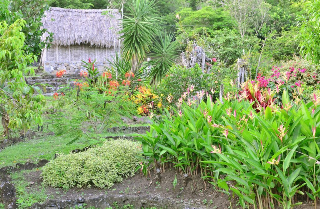 La Savane des Esclaves en Martinique