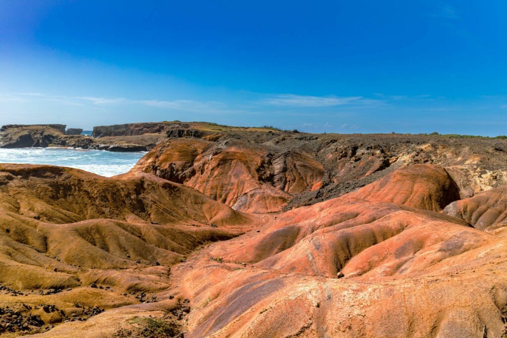 La Savane des Pétrifications en Martinique