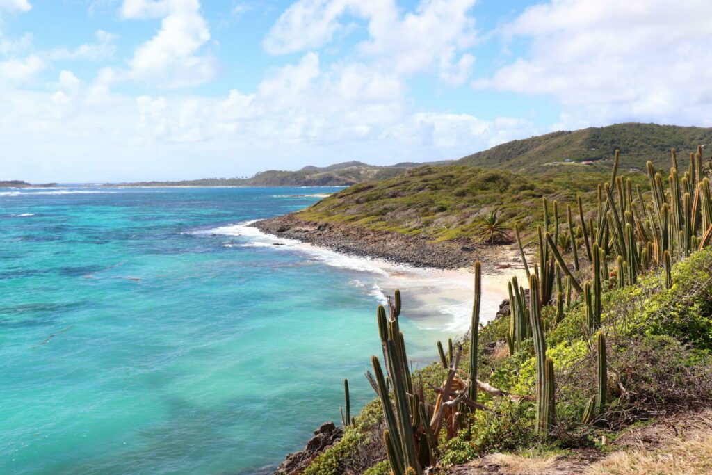 Le Cap Macré dans les paysages de Martinique