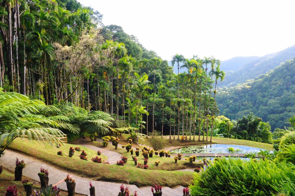 Le jardin de Balata en Martinique