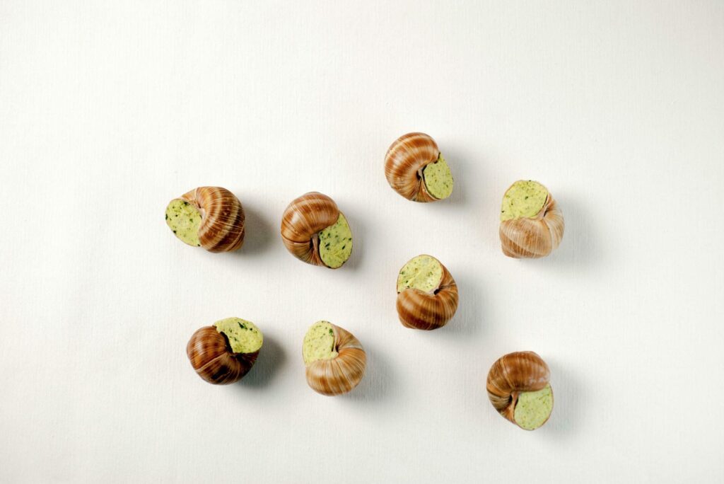 Les escargots de Bourgogne 