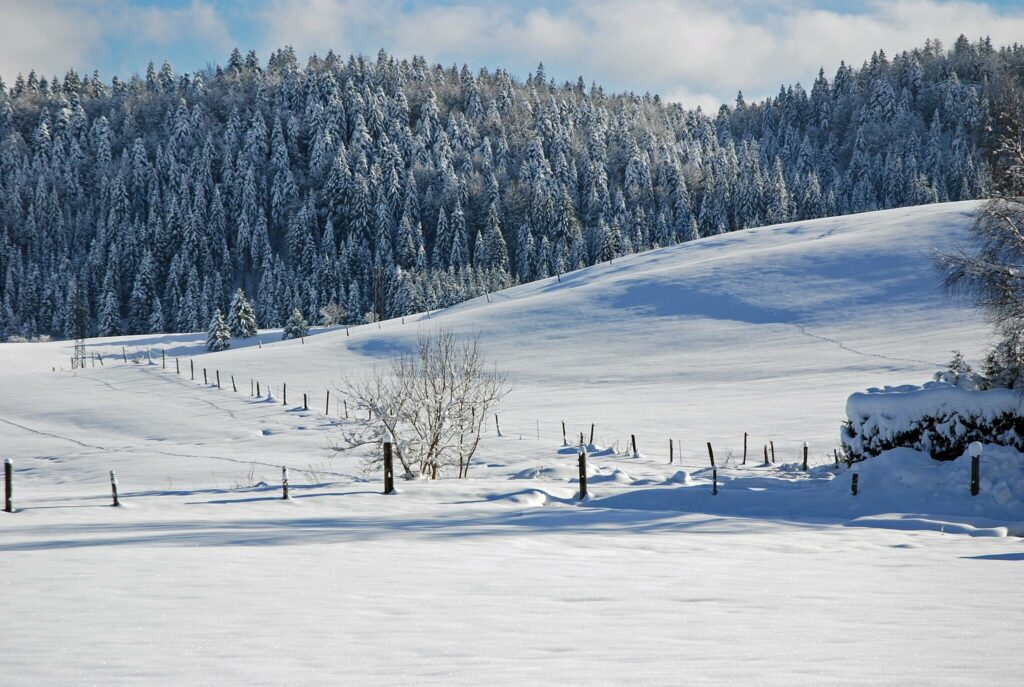 Haut-Jura Grandvaux parmi les stations de ski du Jura