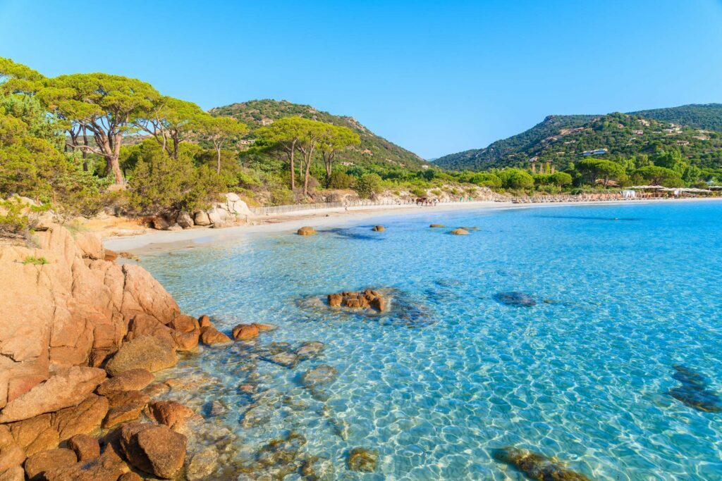 Palombaggia beach in Corsica landscape