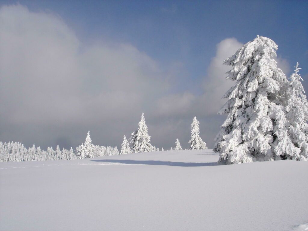 Le Champ du Feu sous la neige