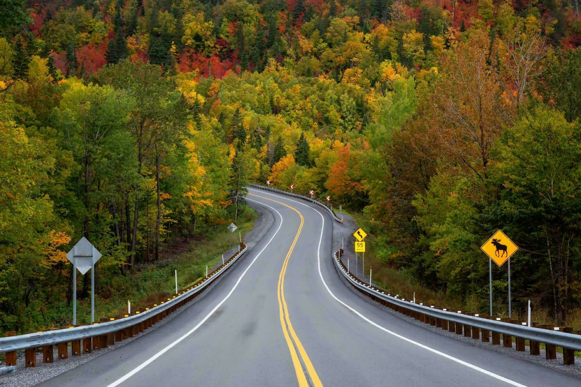 Road Trip Québec - route dans le Parc national Forillon région Gaspésie