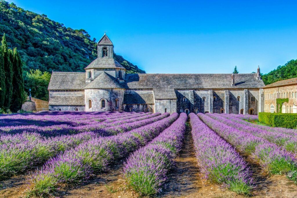 L'abbaye de Sénanque à visiter autour d'Avignon