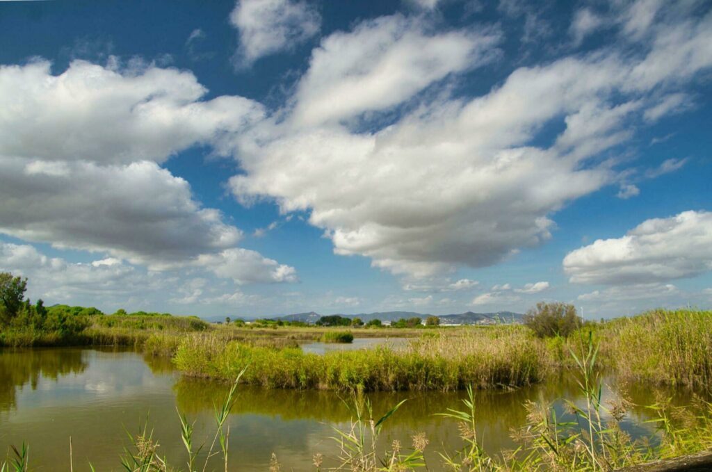 Le Delta Del Llobregat autour de Barcelone