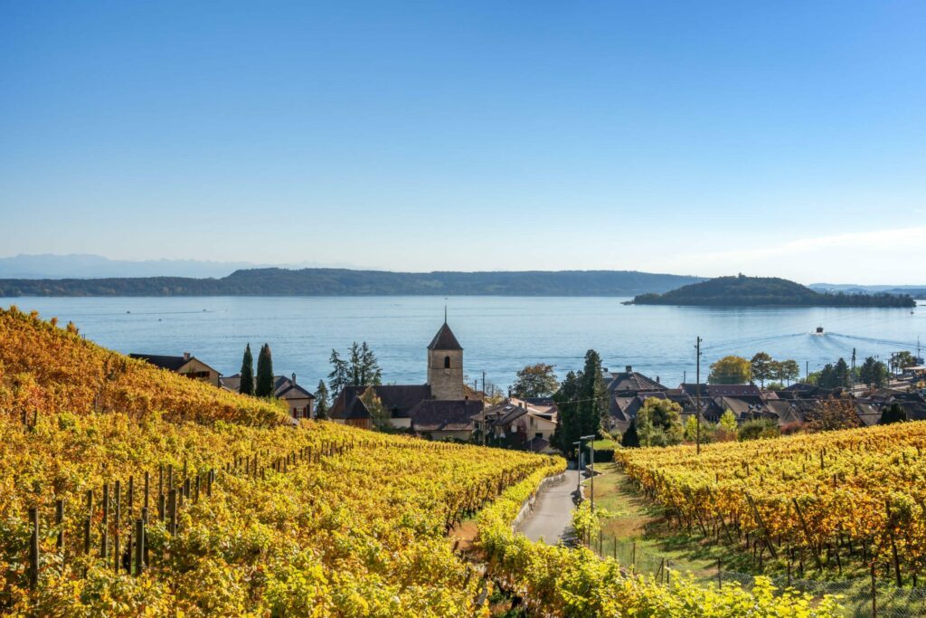 Le lac de Bienne dans les paysages de Suisse