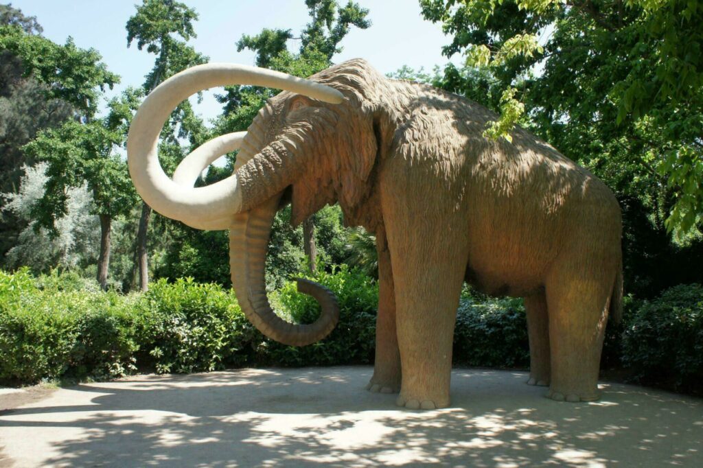 Le mammouth du Parc de la Ciutadella à Barcelone