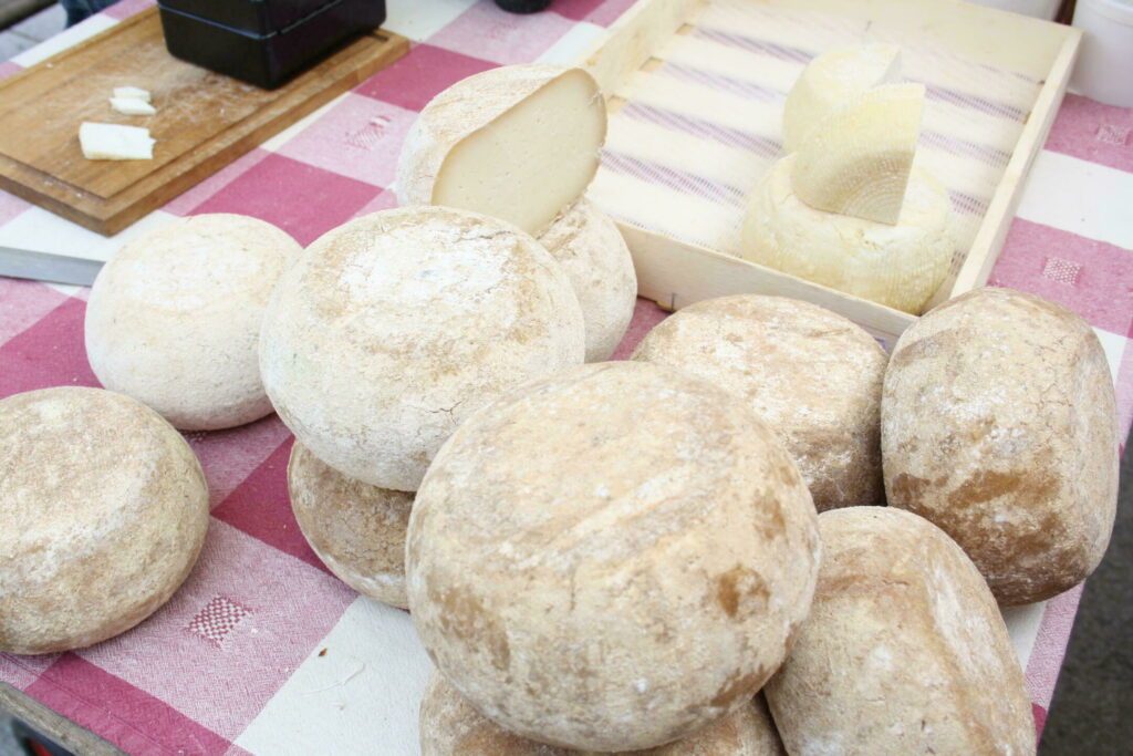 Corsican cheeses