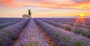 Les paysages de Provence