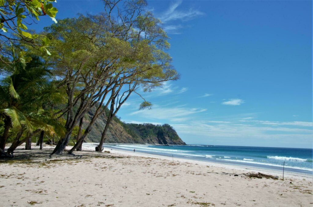 La plage Barrigona dans les plages du Costa Rica