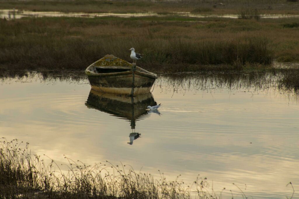 La réserve naturelle de l'estuaire du Douro