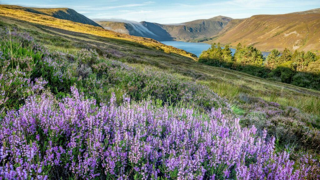 Le Cairngorms National Park