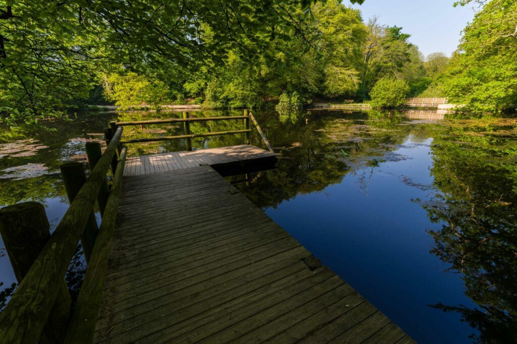 L'étang du bois de Keroual