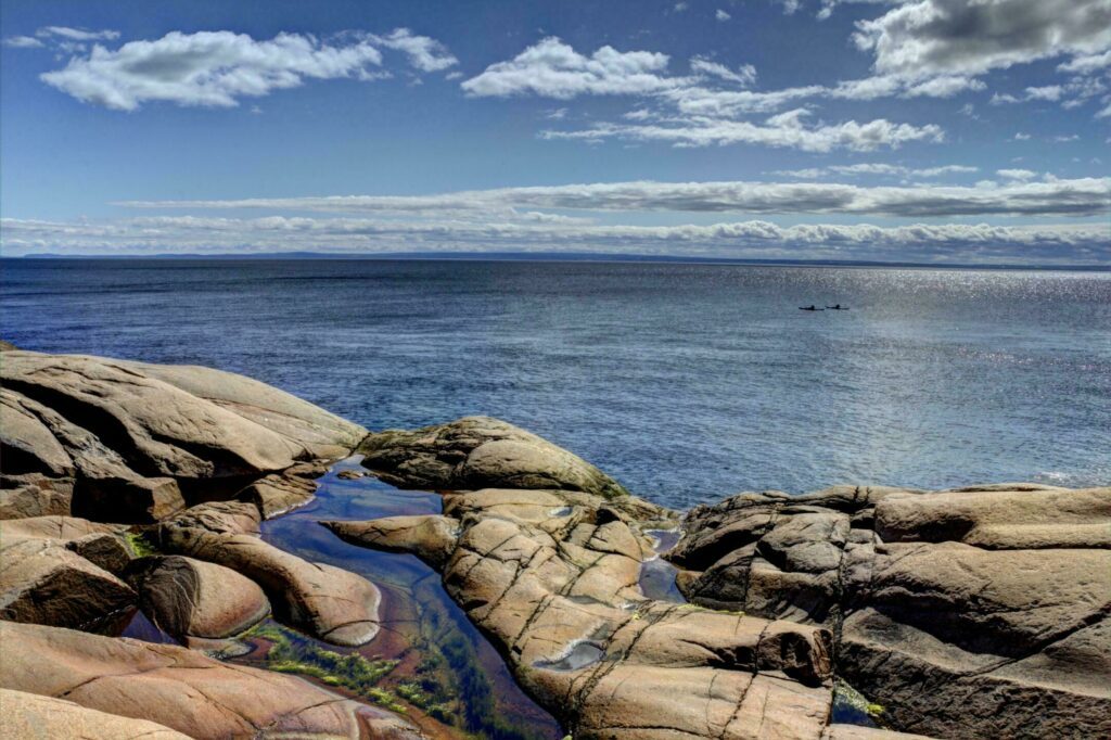 Observer les baleines sur le fleuve Saint-Laurent