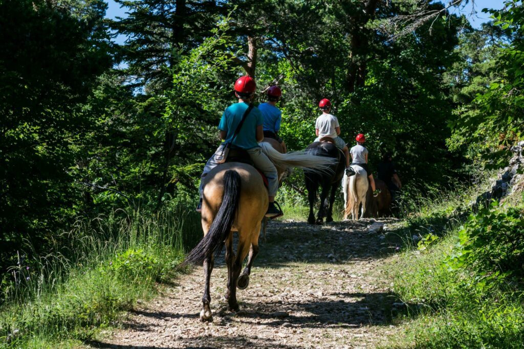 Randonnée à cheval