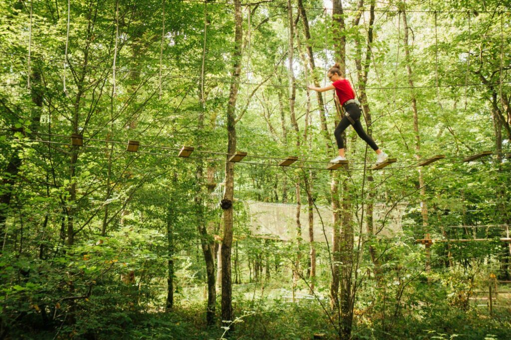 Learn about tree climbing