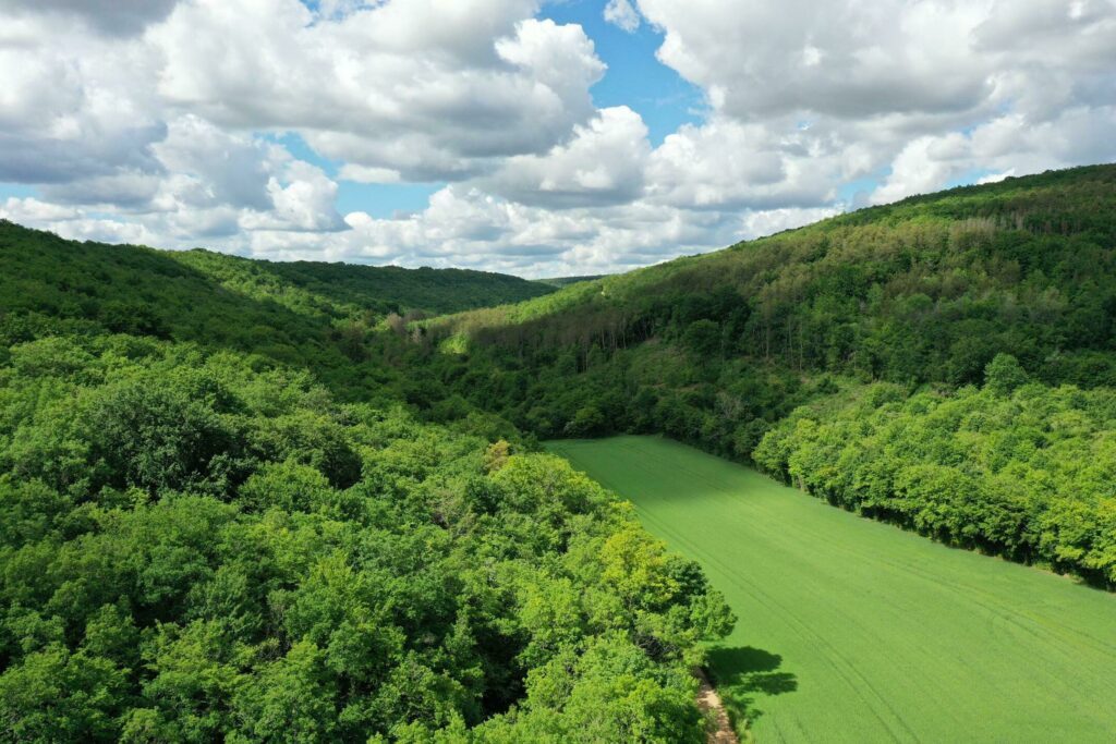 Le Val Suzon à faire en Côte-d'Or