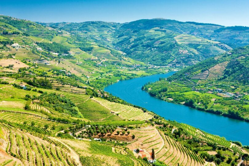 Vallée du Douro près Porto au Portugal