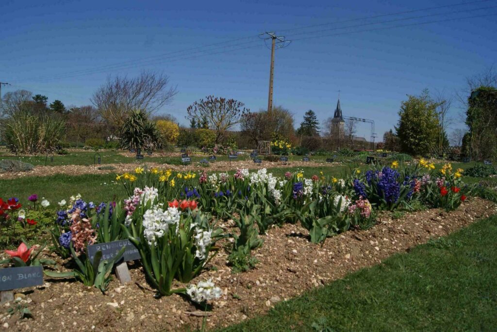 Le jardin botanique de Brisatte autour de Troyes