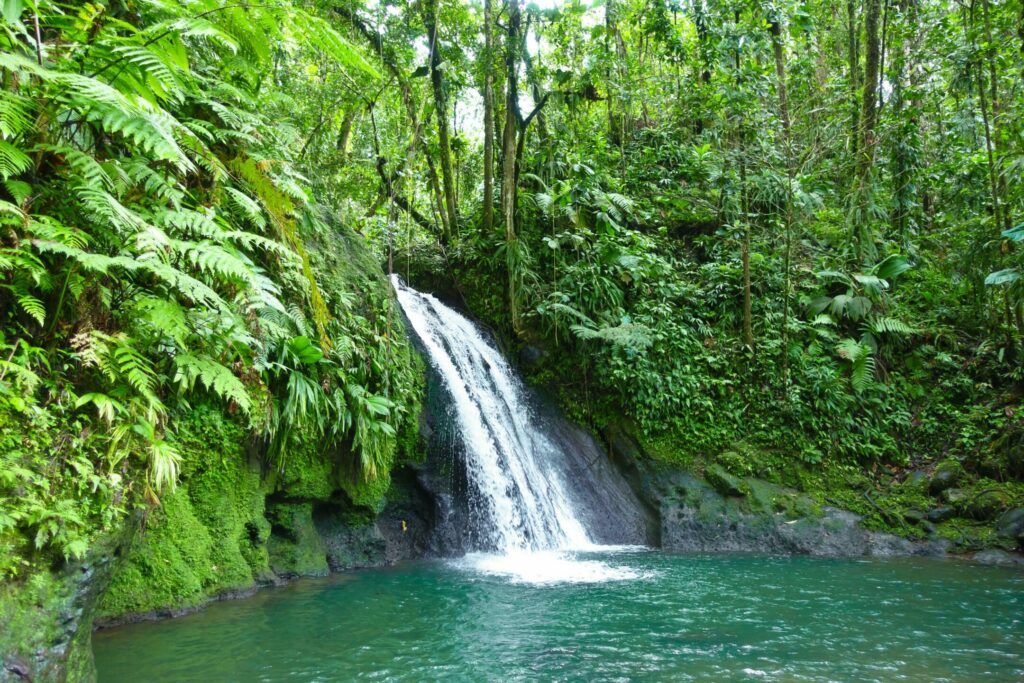 La cascade aux Ecrevisses dans les paysages de Guadeloupe