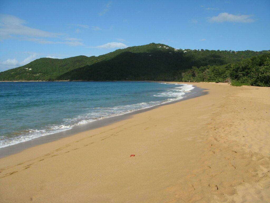 La plage de Grande-Anse à Deshaies