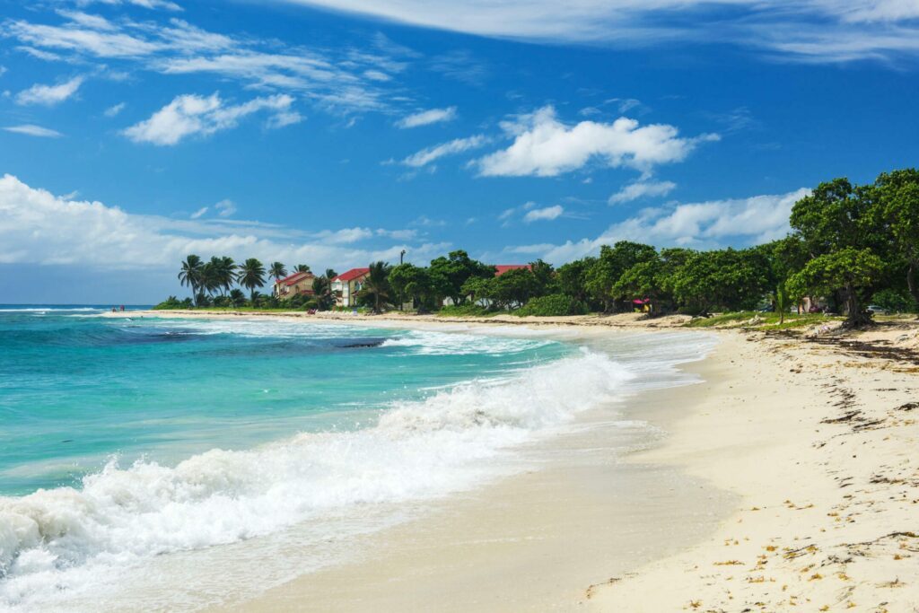 La plage des Raisins Clairs dans les plus belles plages de Guadeloupe