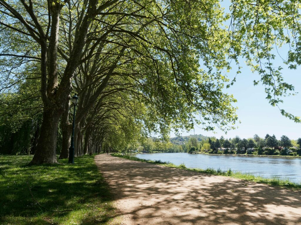 La Voie Verte passe au bord du lac d'Allier