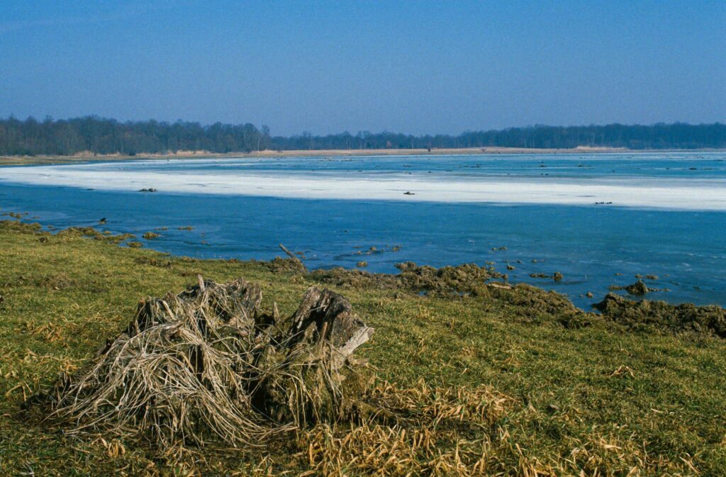 Lac de la forêt d'Orient