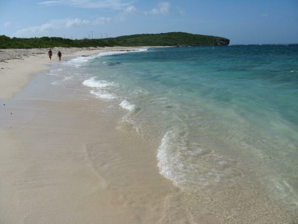 L'Anse à la Gourde parmi les plus belles plages de Guadeloupe