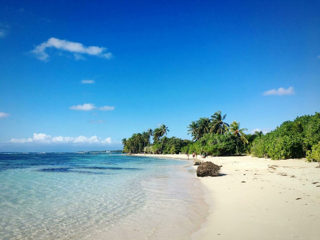 Le Bois Jolan dans les paysages de Guadeloupe