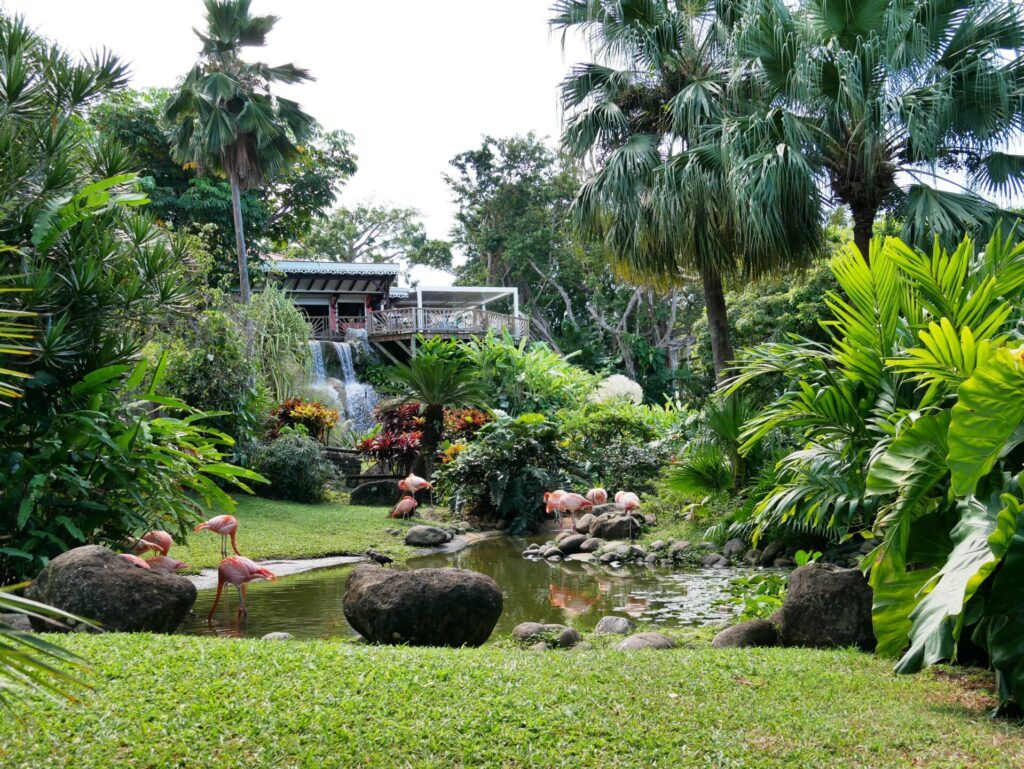 Le jardin botanique de Deshaies