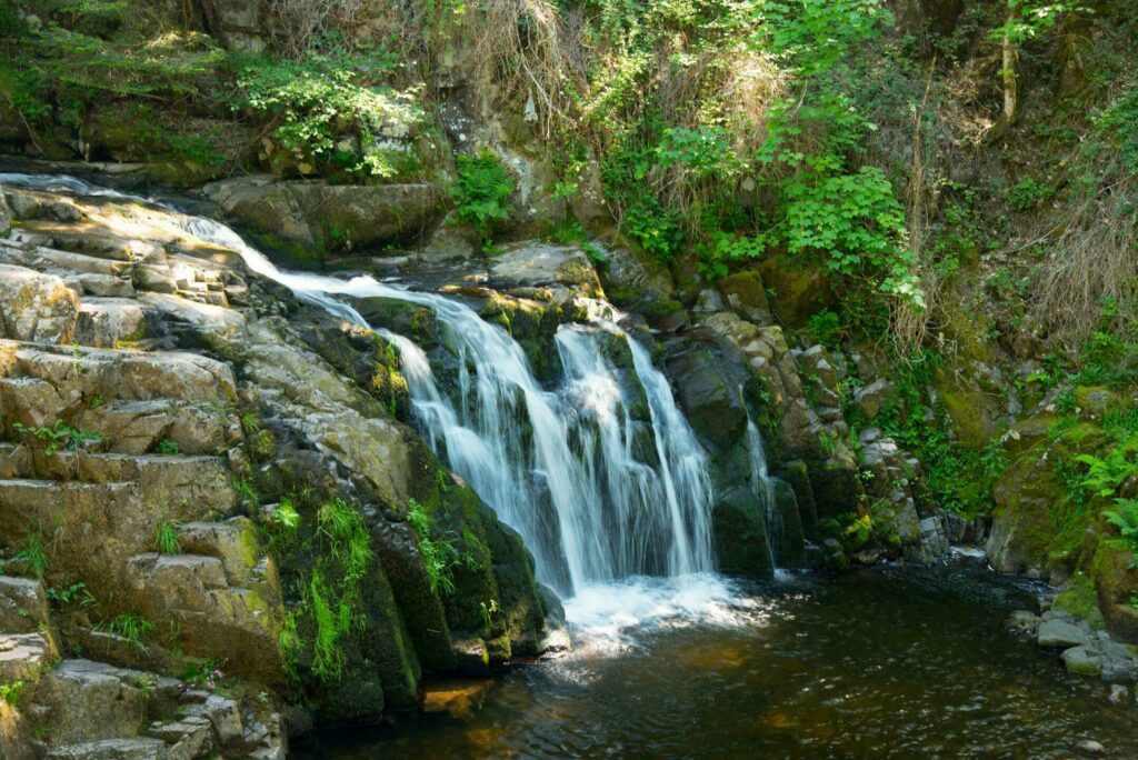 Le Saut du Bouchot dans les paysages des Vosges
