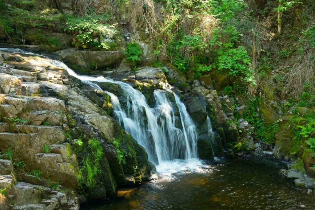 Le Saut du Bouchot dans les paysages des Vosges