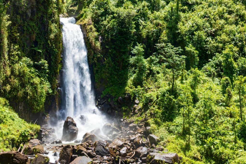 Les chutes du Carbet dans les paysages de Guadeloupe
