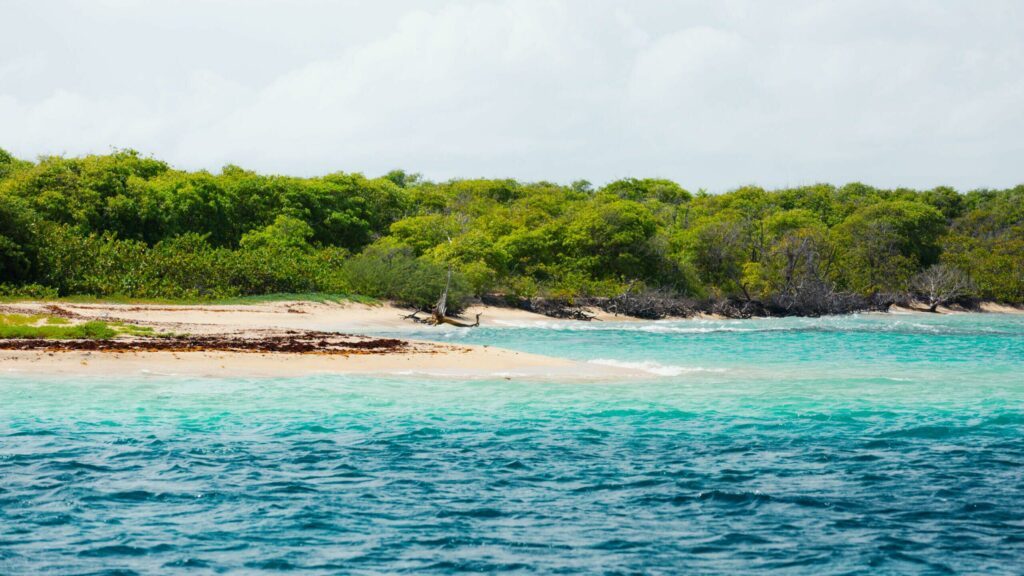 l'île de Petite-Terre dans les paysages de Guadeloupe