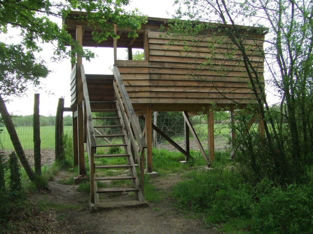 Une tour d'observation au Domaine du Ciran