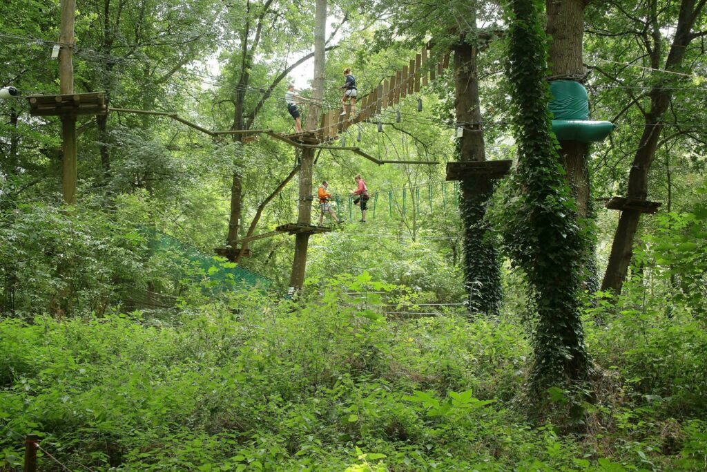 Léo Parc Aventure autour d'Orléans